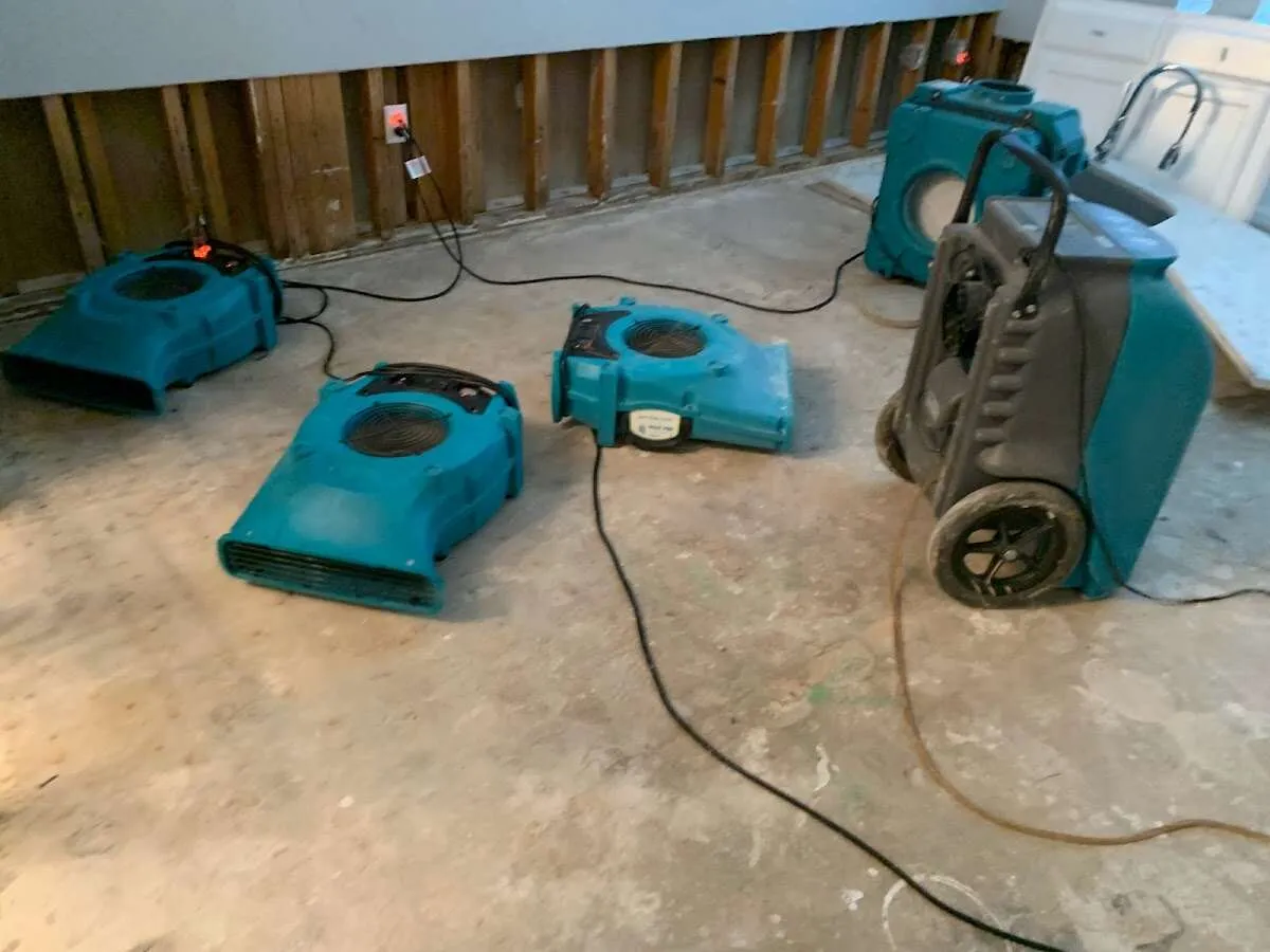 Basement Flood Cleanup in Fallbrook, CA